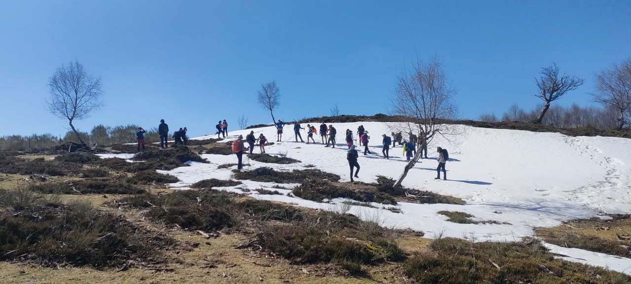 WhatsApp Image 2026-03-23 at 08.14.00